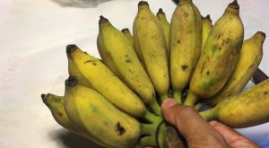 Banana Weight 2